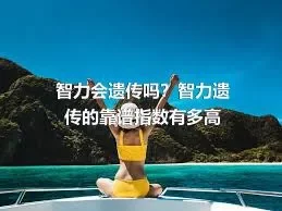 智力会遗传吗？智力遗传的靠谱指数有多高