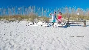 《夏至未至》读后感