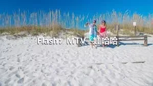 Flash：MTV--娃哈哈