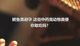 鳄鱼粪避孕 这些中药竟动物粪便你敢吃吗？