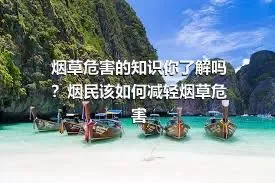 烟草危害的知识你了解吗？烟民该如何减轻烟草危害