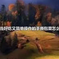 相当好吃又简单操作的手撕包菜怎么做