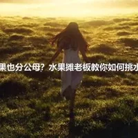 水果也分公母？水果摊老板教你如何挑水果