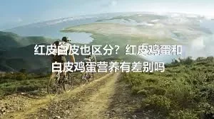 红皮白皮也区分？红皮鸡蛋和白皮鸡蛋营养有差别吗