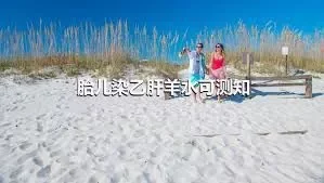 胎儿染乙肝羊水可测知