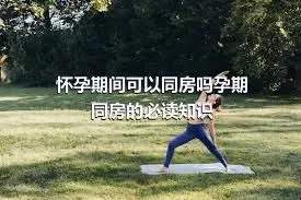 怀孕期间可以同房吗孕期同房的必读知识