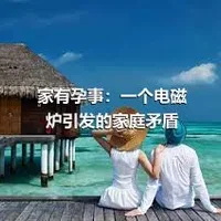 家有孕事：一个电磁炉引发的家庭矛盾