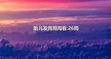 胎儿发育周周看:26周