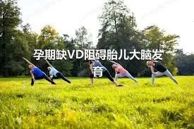 孕期缺VD阻碍胎儿大脑发育