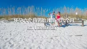 怀孕六个月男胎儿图（六个月胎儿四维彩超）