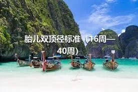 胎儿双顶径标准（16周—40周）