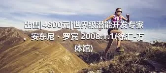 出售|4800元|世界级潜能开发专家。安东尼・罗宾 2008.1.1(徐汇-万体馆)