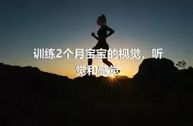 训练2个月宝宝的视觉，听觉和感觉