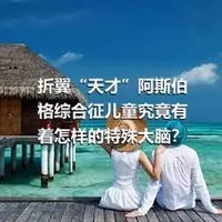 折翼“天才”阿斯伯格综合征儿童究竟有着怎样的特殊大脑？