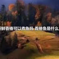 新鲜香椿可以煮鱼吗 香椿鱼是什么鱼