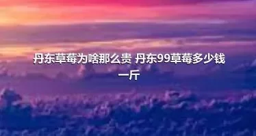 丹东草莓为啥那么贵 丹东99草莓多少钱一斤