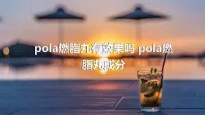 pola燃脂丸有效果吗 pola燃脂丸成分