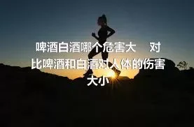 啤酒白酒哪个危害大    对比啤酒和白酒对人体的伤害大小