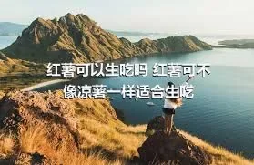 红薯可以生吃吗 红薯可不像凉薯一样适合生吃