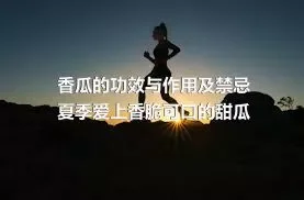 香瓜的功效与作用及禁忌 夏季爱上香脆可口的甜瓜