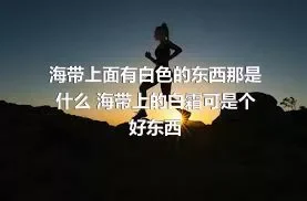 海带上面有白色的东西那是什么 海带上的白霜可是个好东西