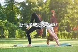 新高考成绩怎么算？