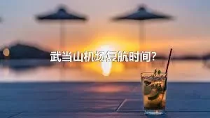 武当山机场复航时间？