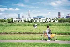 新高考30个高招志愿怎么报