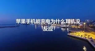 苹果手机能充电为什么耳机没反应