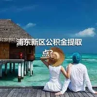 浦东新区公积金提取点？