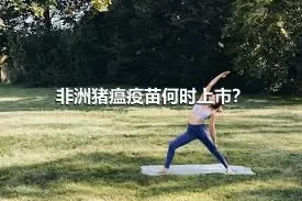 非洲猪瘟疫苗何时上市？