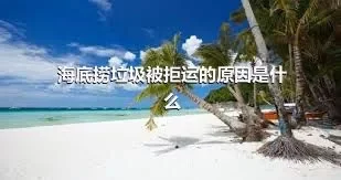 海底捞垃圾被拒运的原因是什么