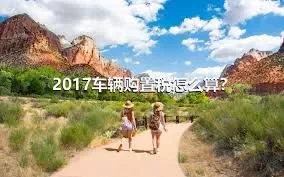 2017车辆购置税怎么算？