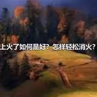 上火了如何是好？怎样轻松消火？