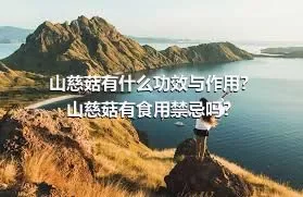 山慈菇有什么功效与作用？山慈菇有食用禁忌吗？