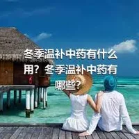 冬季温补中药有什么用？冬季温补中药有哪些？