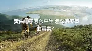 黄曲霉素怎么产生 怎么消灭黄曲霉素？