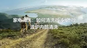 家电清洗：如何清洗微波炉-微波炉内部清洗