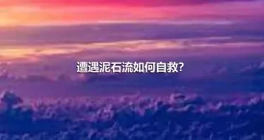 遭遇泥石流如何自救？