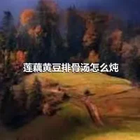 莲藕黄豆排骨汤怎么炖