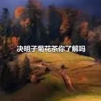 决明子菊花茶你了解吗