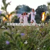 世界最美的胸部排行榜Top10