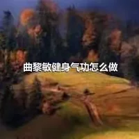 曲黎敏健身气功怎么做