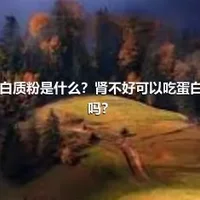 豌豆蛋白质粉是什么？肾不好可以吃蛋白质粉的吗？