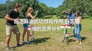 白芝麻油的功效与作用,白芝麻油的营养分析