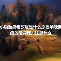 孕晚期小腹坠痛老放屁是什么原因孕晚期小腹坠痛放屁调理方法是什么