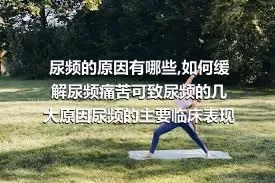 尿频的原因有哪些,如何缓解尿频痛苦可致尿频的几大原因尿频的主要临床表现