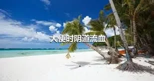 大便时阴道流血