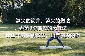 笋尖的简介，笋尖的做法，春笋3个部位的烹饪法，黄山干笋尖的做法，山野笋尖的做法