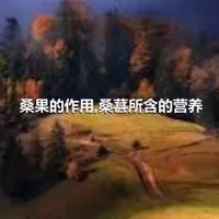 桑果的作用,桑葚所含的营养